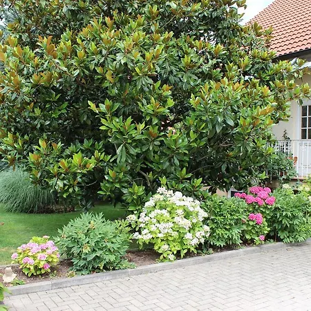 Apartman Ferienwohnung Fleck Rust